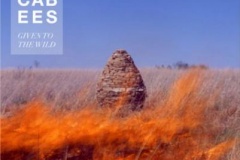 The-Maccabees-Given-to-the-wild
