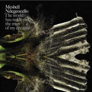 Me'Shell Ndegeocello - The world has made me the man of my dreams