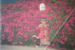 Feist-Pleasure
