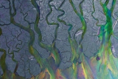 ALT-J-An-Awesome-Wave