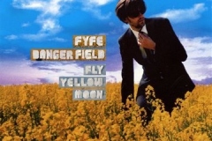 Fyfe_Dangerfield_Fly_yellow_moon