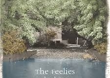 Feelies_Here_before