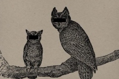 Neil_Halstead_Palindrome_hunches