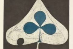 Grizzly-Bear-Shields