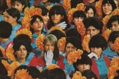 alvvays-alvvays