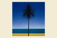 metronomy-the-english-riviera