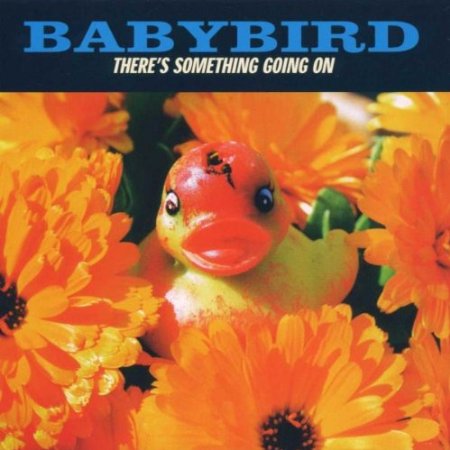 Baby Bird – There’s something going on