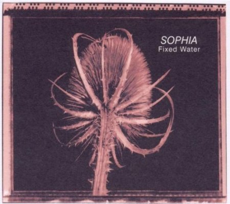 Sophia – Fixed water