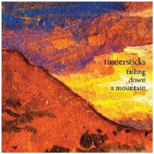 Tindersticks - Falling down a mountain