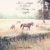 bill-callahan-sometimes-i-wish-we-were-an-eagle